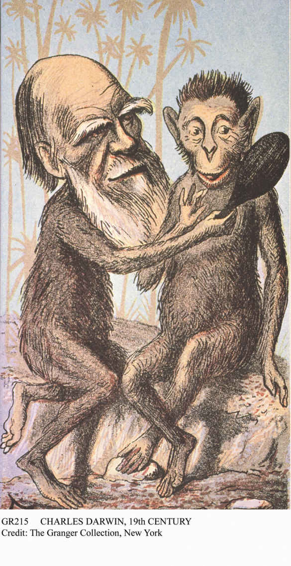 The image shows a cartoon of Charles Darwin and an ape sitting, where Charles Darwin’s body is also shown as that of an ape and Darwin is showing a hand-mirror to ape.