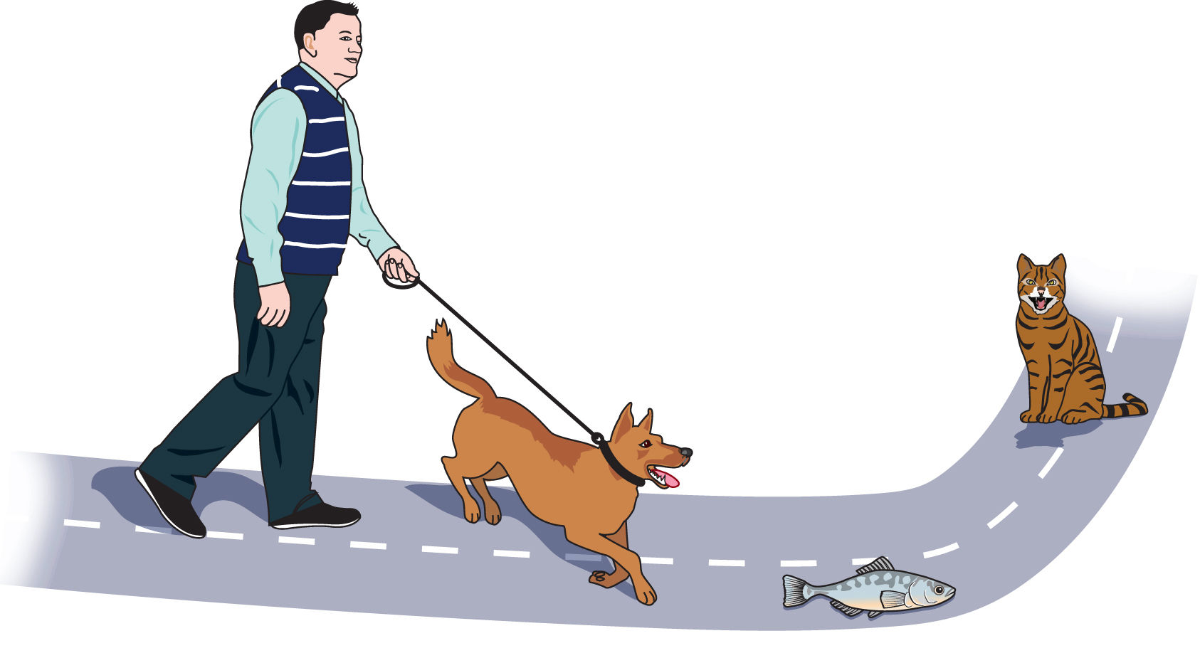 An animation of a man walking on the road, with his dog held by a leash. The dog is running towards a fish lying on the road in his way. At a distance from the dog a cat is sitting. The arrow marking towards the man reads, ‘person trying to follow the argument’. An arrow pointing towards the fish reads, ‘red Herring, a distraction not related to the argument.’ Another arrow pointing towards the cat reads, ‘the actual issue being argued.’