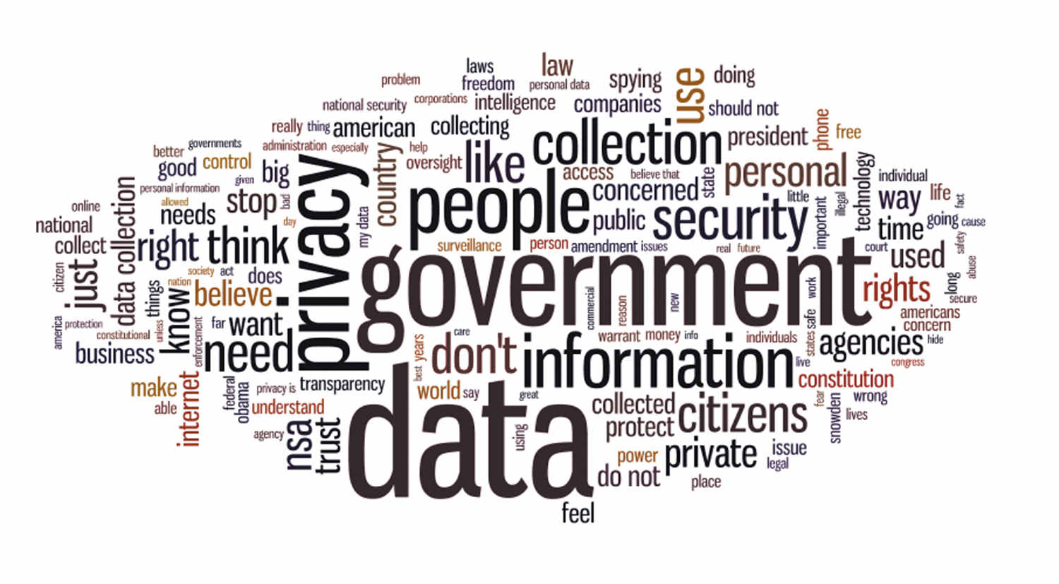 It is a collage of words in an oval shape with differing colours and font sizes. Certain words that are highlighted in bigger font size are - government, privacy, people, collection, data, security, don’t, information, personal, citizens, private, agencies, used, rights, trust, believe, need, want, transparency, constitutuion etc.